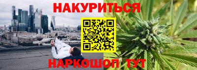 гашик Новокубанск