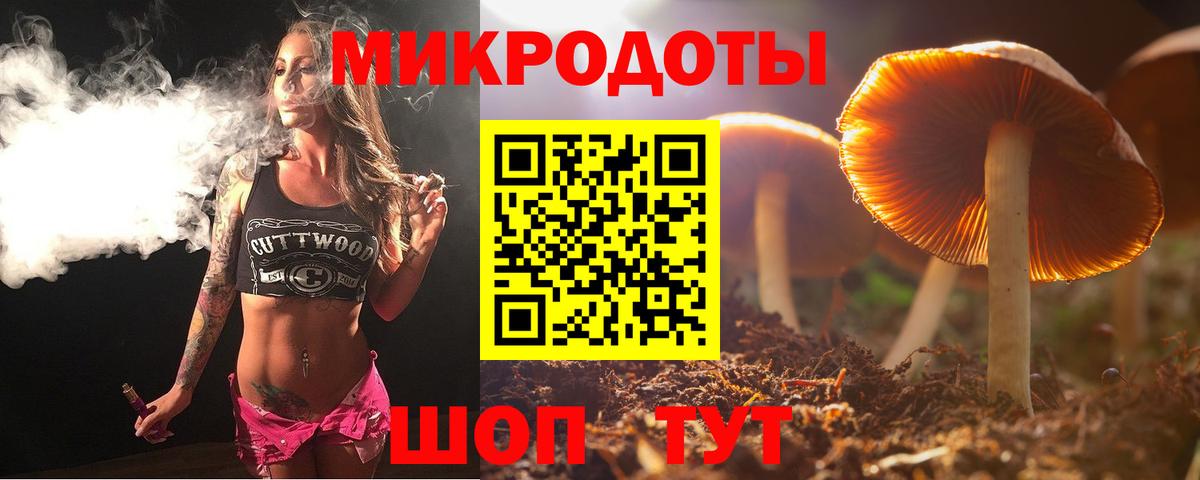 Псилоцибиновые грибы Psilocybe Рузаевка